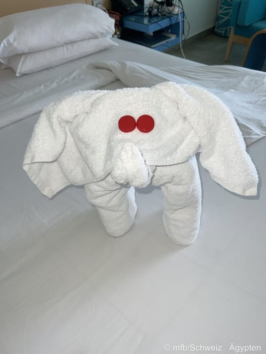 Zimmer Novotel Marsa Alam Beach Resort