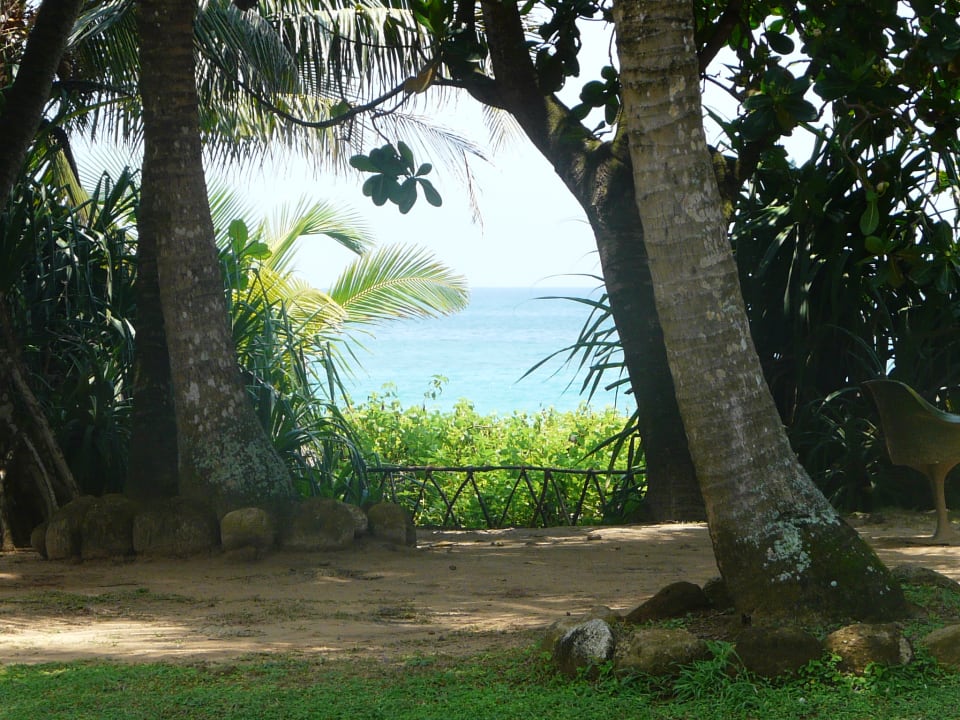 Blick von der Terrasse Hotel Koggala Beach