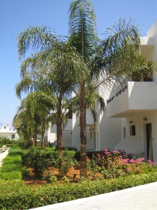 Anlage Sentido Kyknos Beach Adults Only 16+