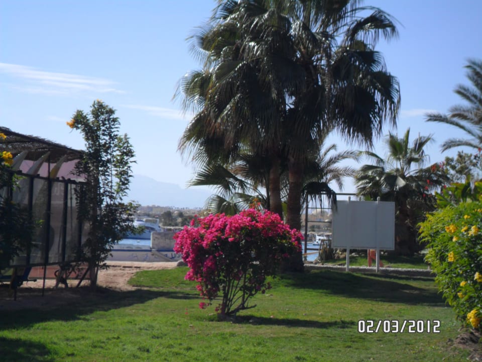 Weg zum Strand Fort Arabesque Resort, Spa & Villas
