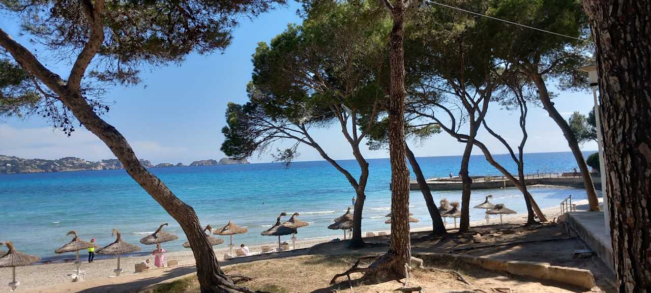 Strand Hotel Aparthotel Paguera Beach