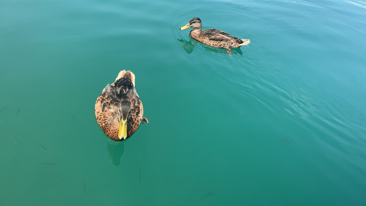 Strand Aktivhotel Marko