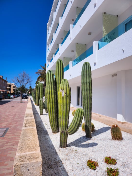 Außenansicht The Sea Hotel by Grupotel - Adults only