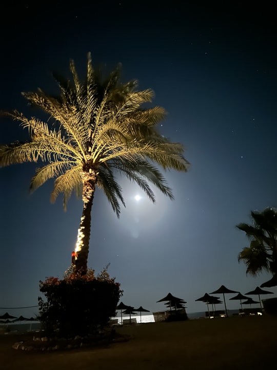 Ausblick Wadi Lahmy Azur Resort