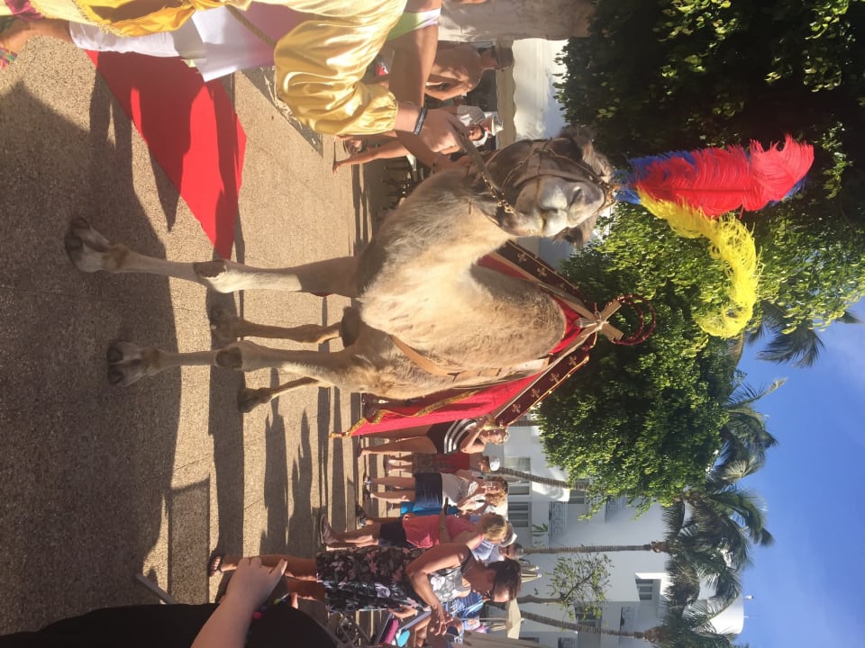 Außenansicht Hipotels La Geria