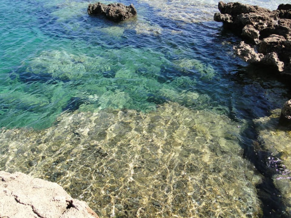 Crystal Springs Beach Hotel Crystal Springs Beach Hotel