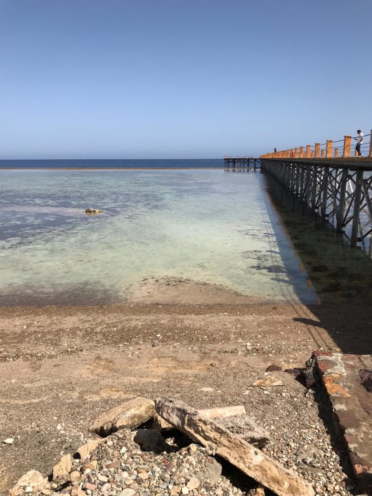 Strand Pickalbatros Sea World Resort - Marsa Alam