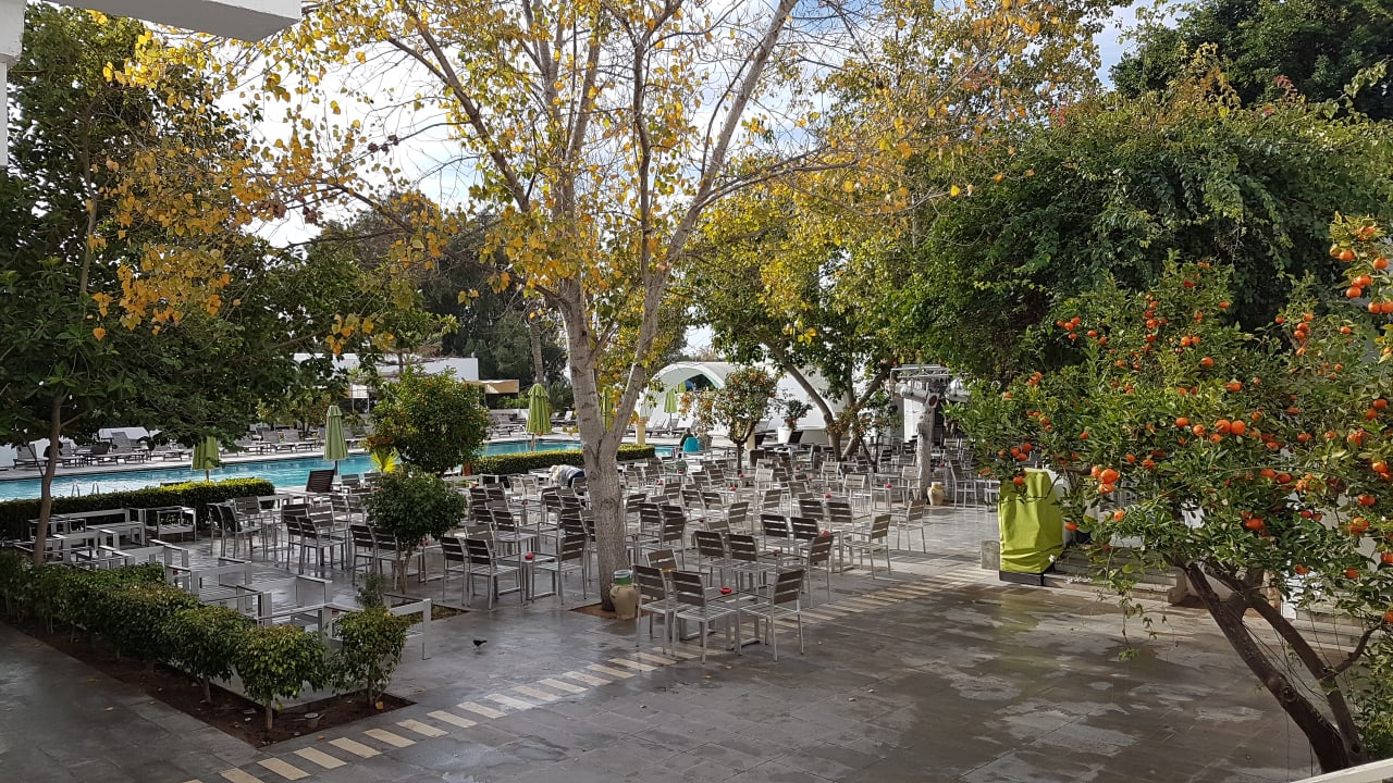 Sonstiges The Orangers Beach Resort and Bungalows
