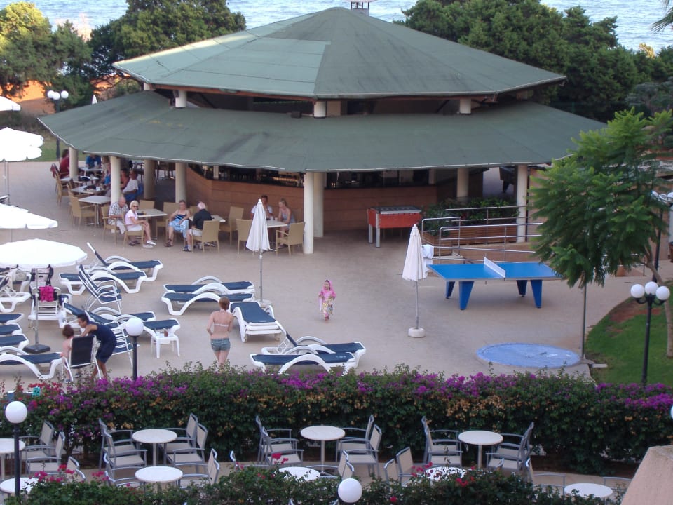 Poolbar Hotel Tropic Garden