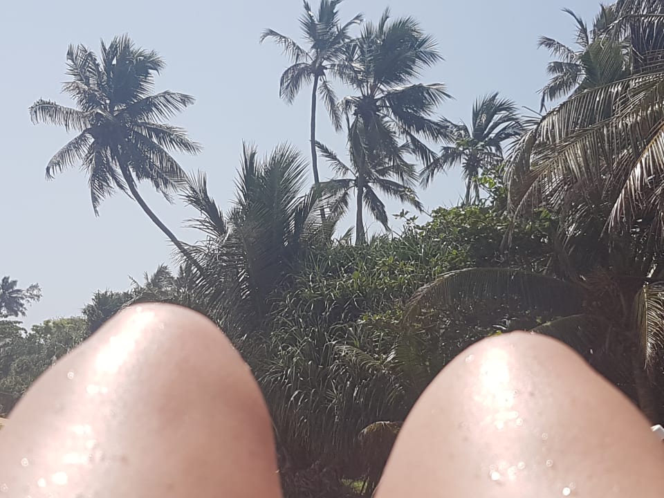 Ausblick Mermaid Hotel & Club