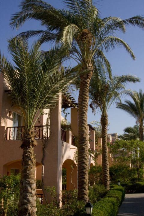 Makadi Saraya Jaz Makadi Saraya Resort