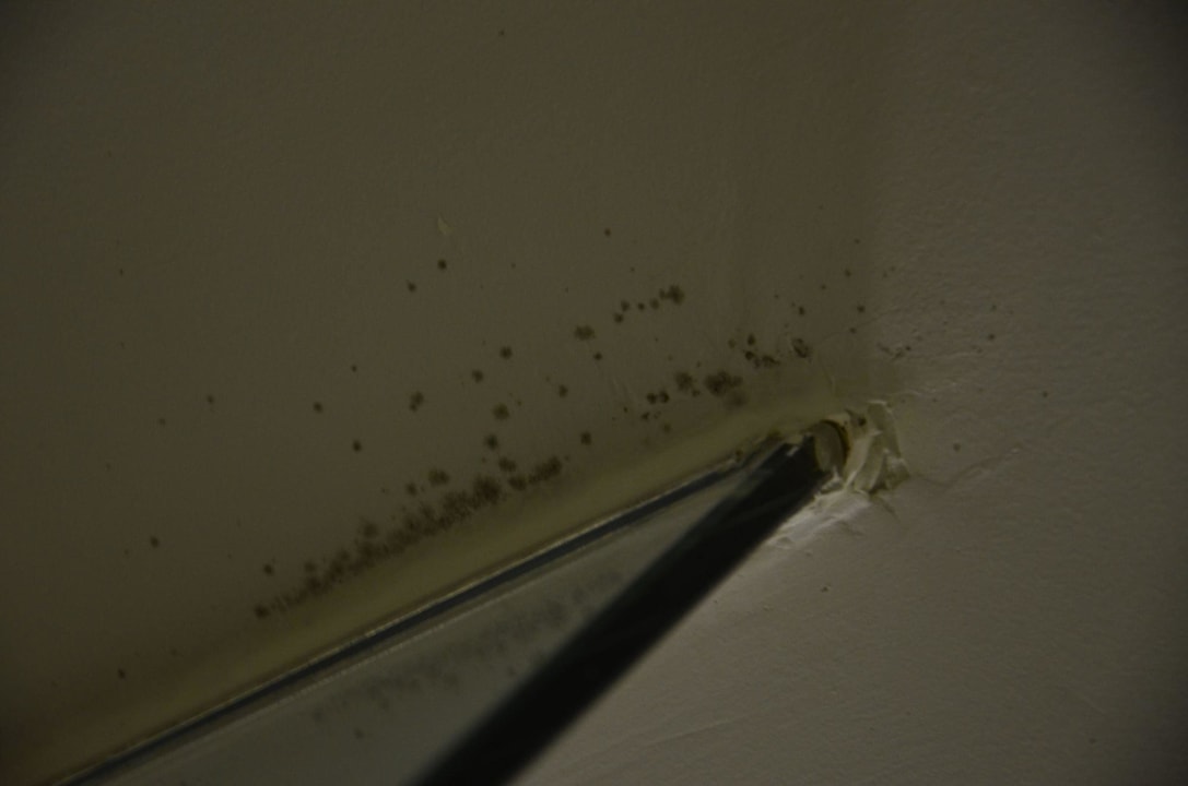 Dusche & Bad Schimmel Park West Hotel