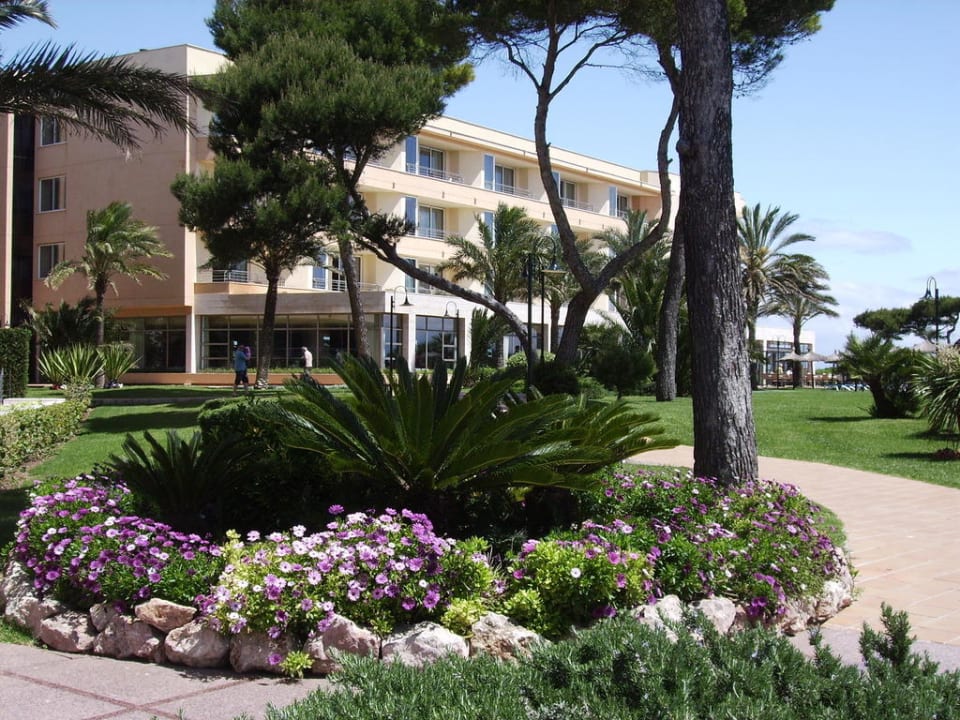 Eingang zum Garten Grupotel Natura Playa