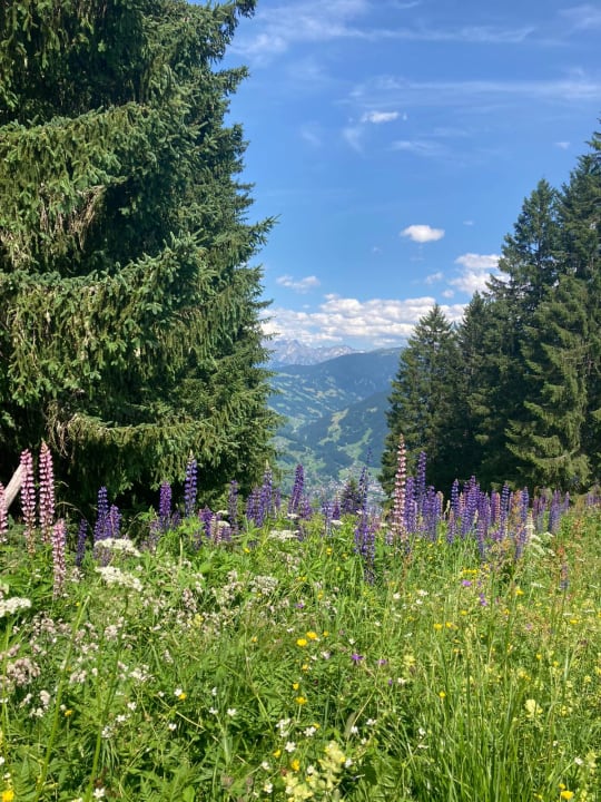 Ausblick Hotel Alpenfeuer Montafon