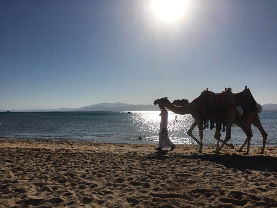 Entspannung pur ROBINSON SOMA BAY