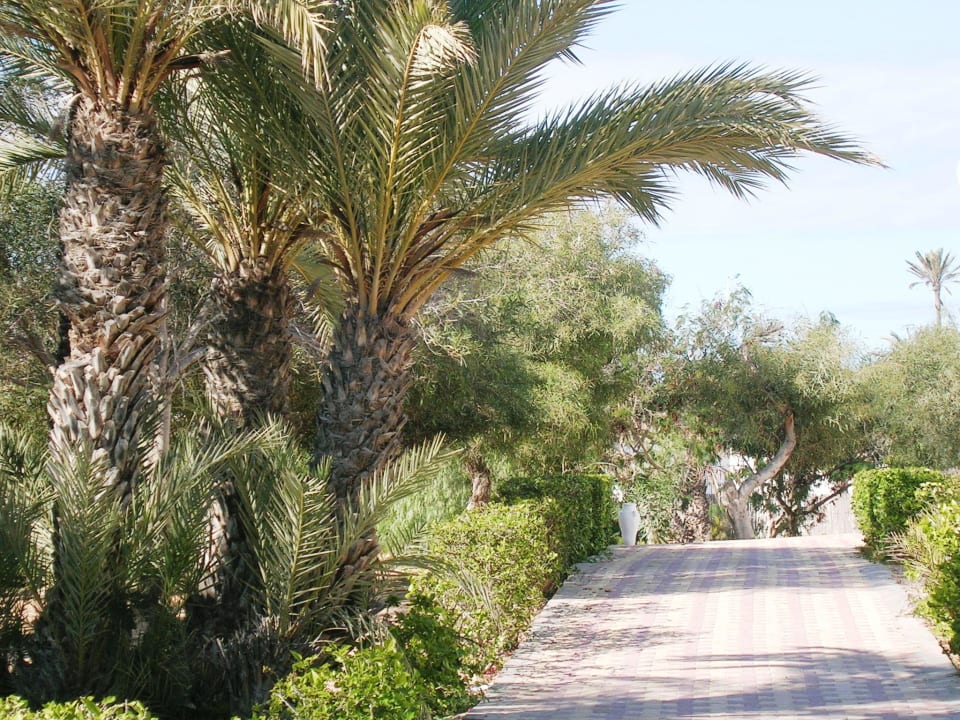 .. Hotel El Mouradi Djerba Menzel
