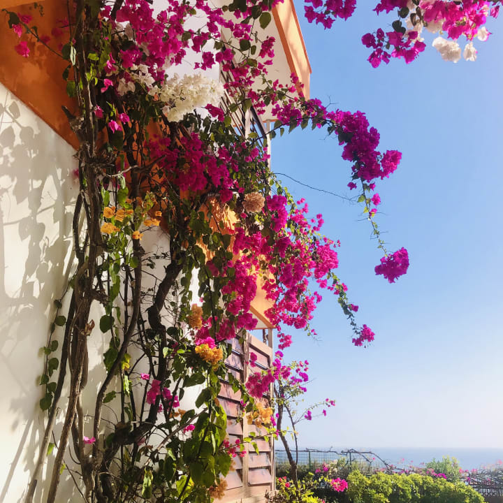 Gartenanlage Hotel San Nicolas