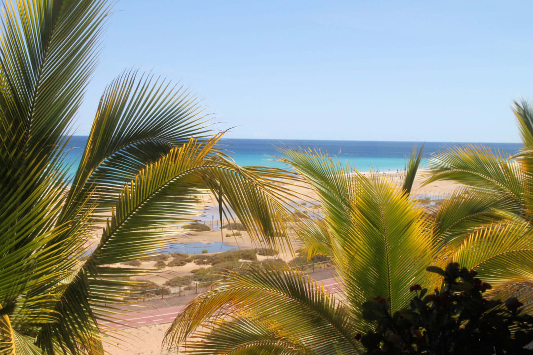 Ausblick vom Zimmer Iberostar Selection Fuerteventura Palace