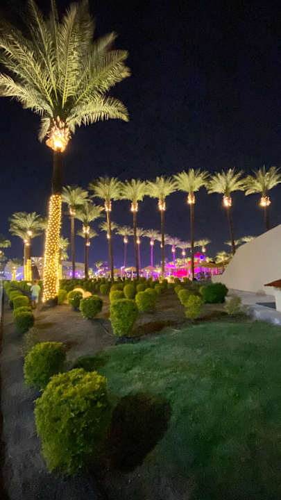 Außenansicht Beach Albatros Resort