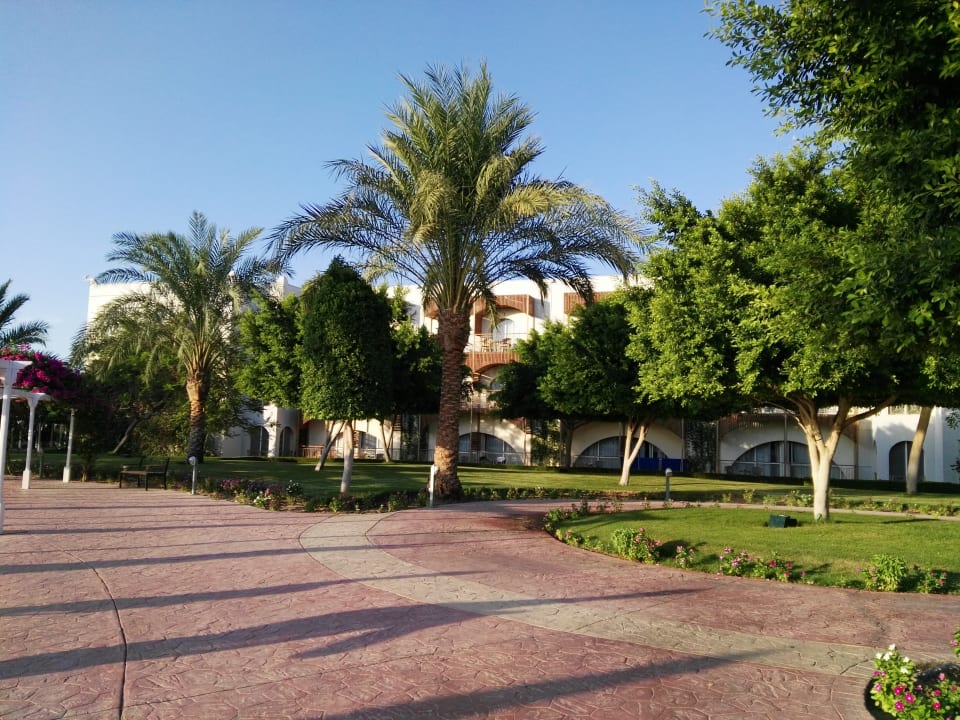 Gartenanlage Desert Rose