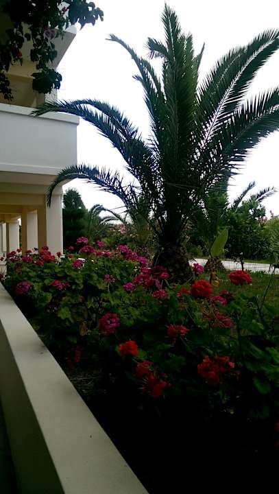 Wege beim Neubau Hotel Tigaki Beach