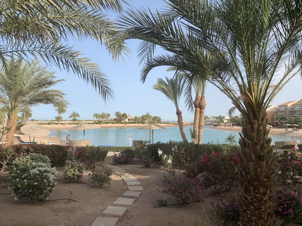 Garten Mövenpick Resort & Spa El Gouna