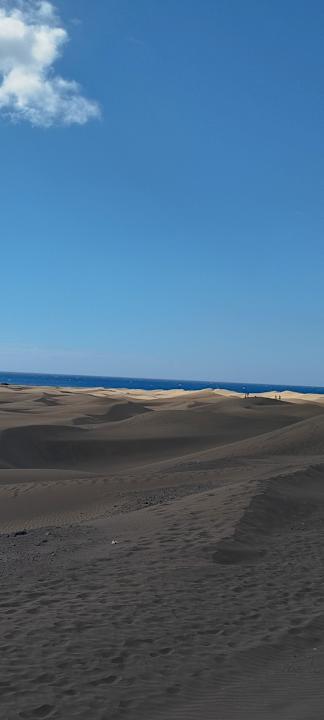 Sonstiges Hotel Riu Palace Maspalomas Adults Only