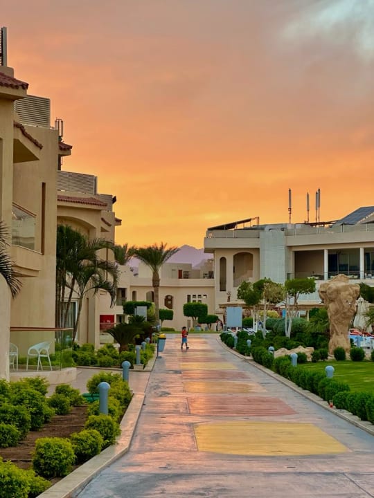 Gartenanlage Pickalbatros Royal Moderna Resort-Sharm El Sheikh