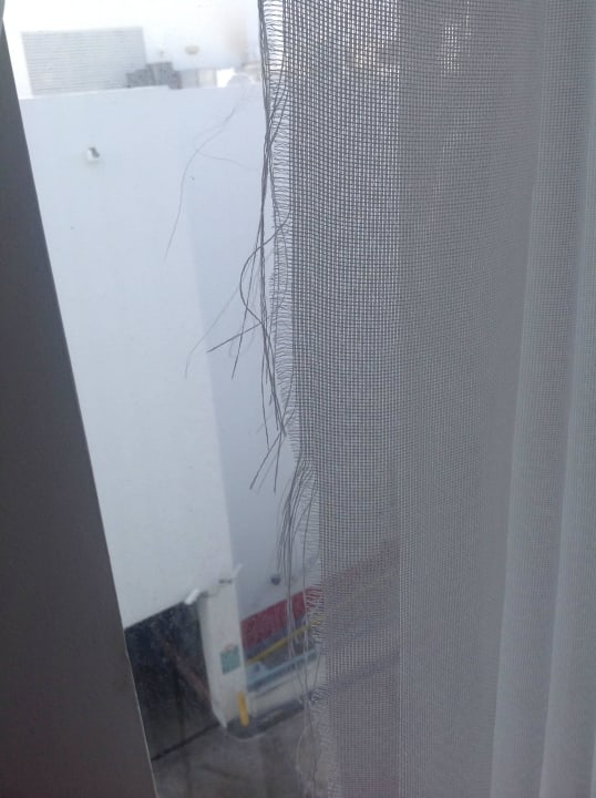 "Superior Suite" Vorhang Royal Palm South Beach Miami, a Tribute Portfolio Resort