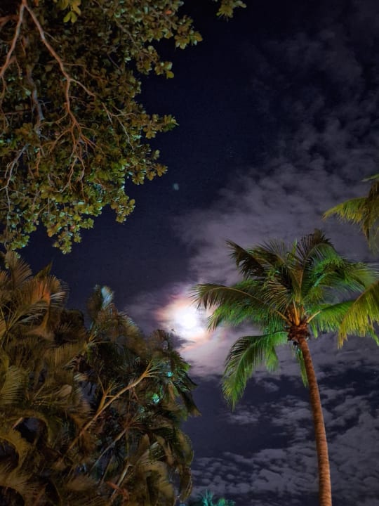 Außenansicht Playabachata Hotel