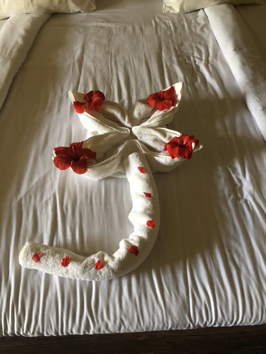 Zimmer Hotel Caves Beach Resort (Adults Only)