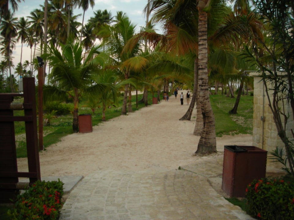 Weg zum Strand Villas Bavaro Resort & Spa