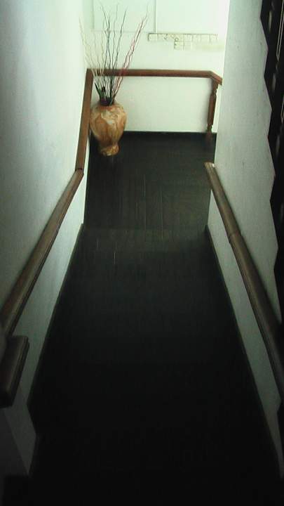 Treppenaufgang ohne Licht  Water Lily