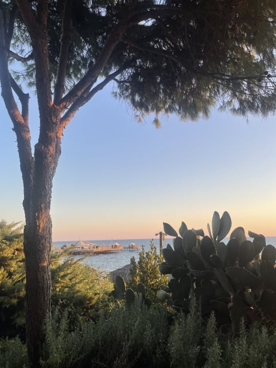 Strand PALOMA Perissia