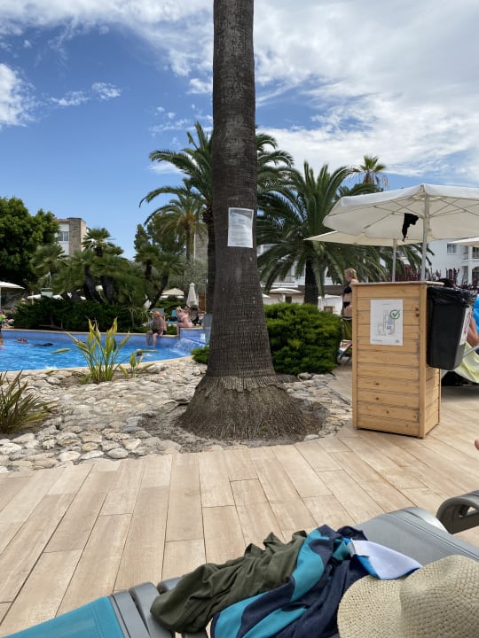 Pool Alcudia Garden Aparthotel