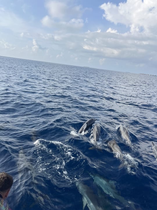 Sport & Freizeit ROBINSON MALDIVES