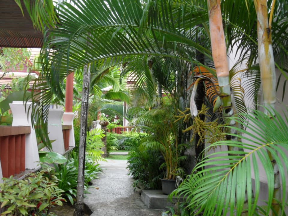 Tropengarten Fanari Khaolak Resort