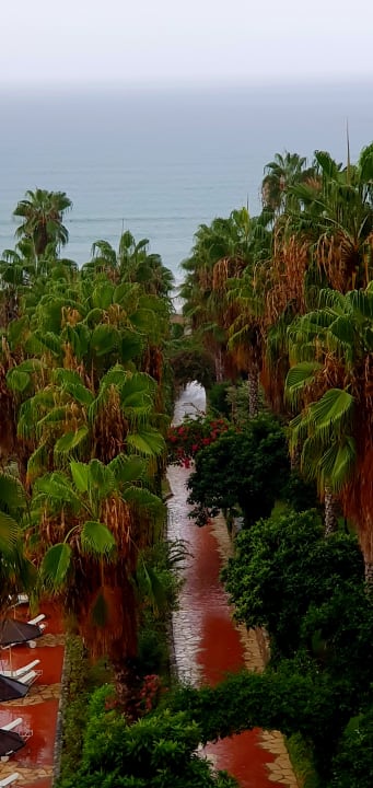 Ausblick Hotel Defne Garden