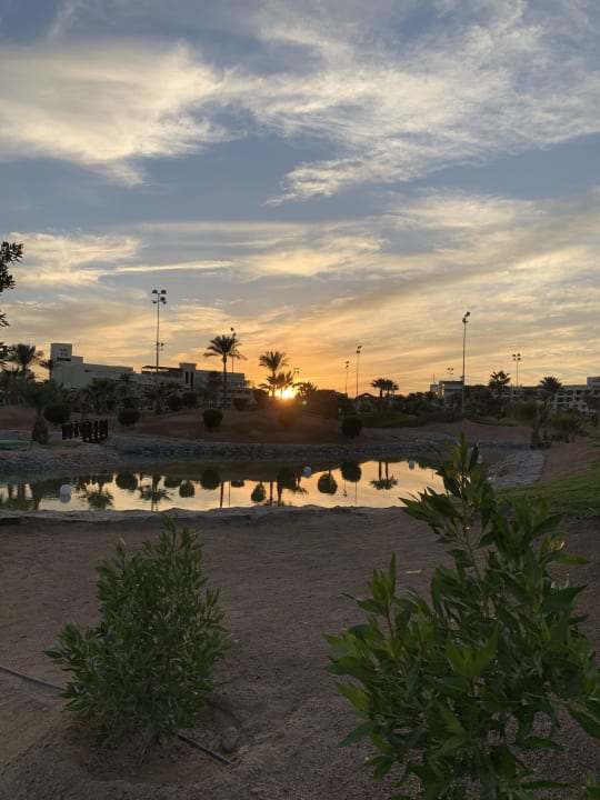 Gartenanlage Steigenberger Aqua Magic