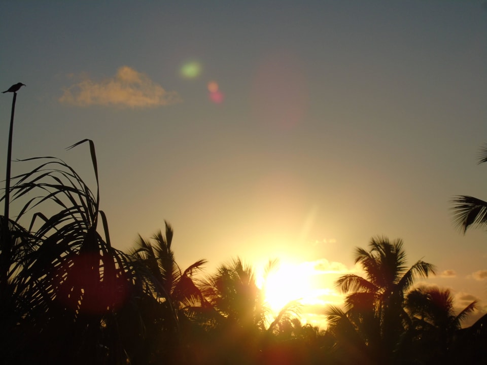 Sonnenuntergang Hotel Riu Palace Macao - Adults only