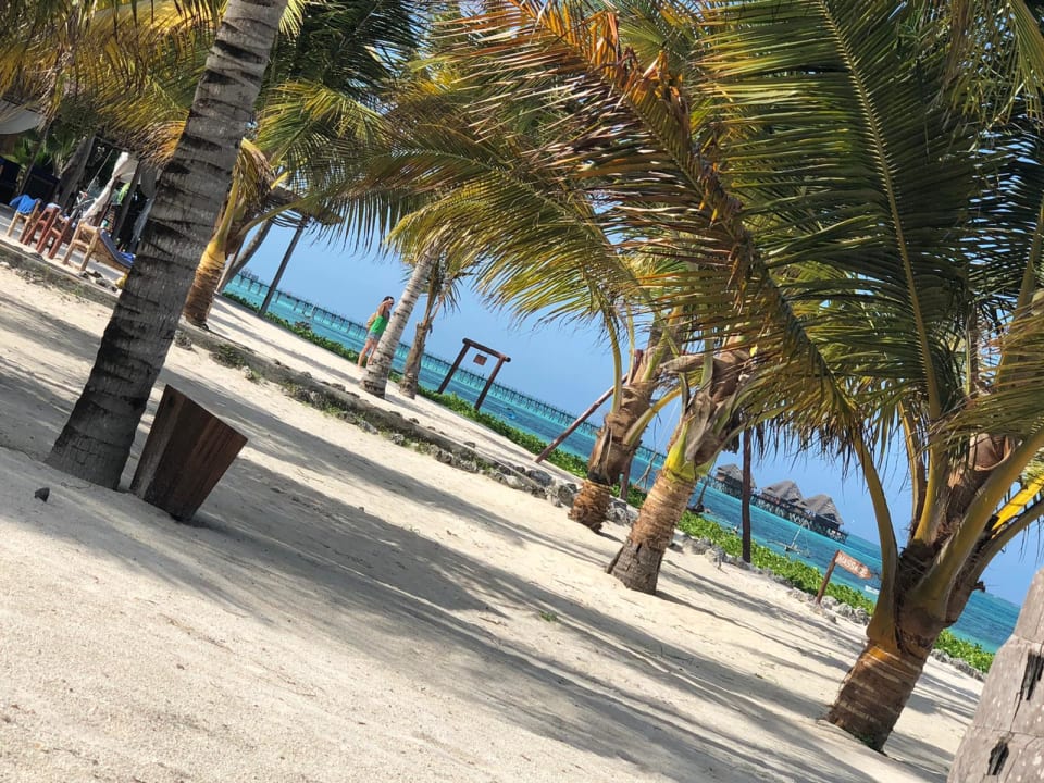 Strand The Sands Beach Resort