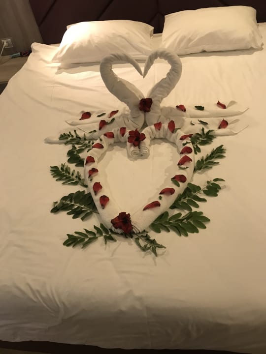 Zimmer Delphin BE Grand