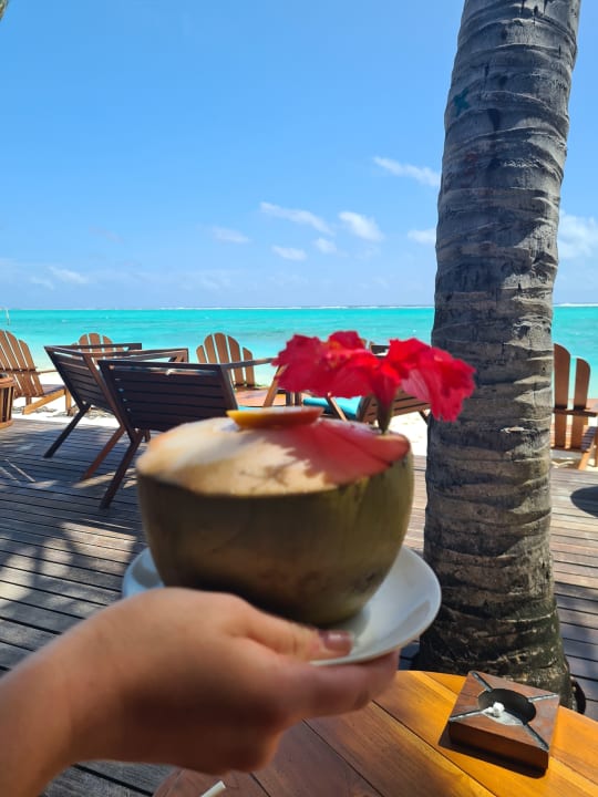 Gastro Summer Island Maldives