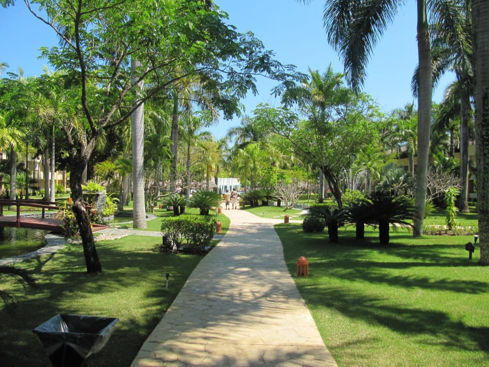 Gartenanlage Iberostar Waves Costa Dorada