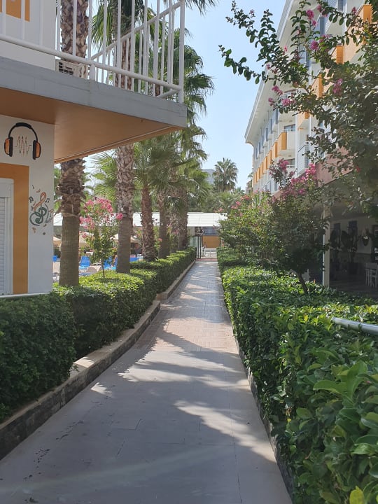 Gartenanlage Hane Family Resort