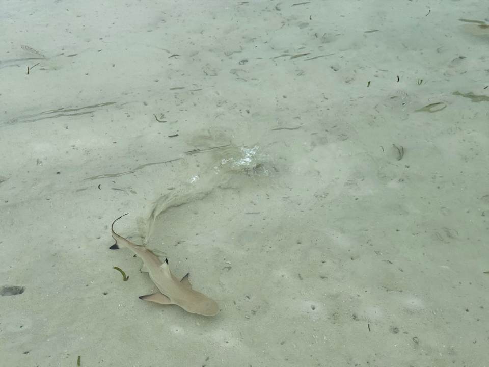 Sonstiges Kuredu Island Resort & Spa