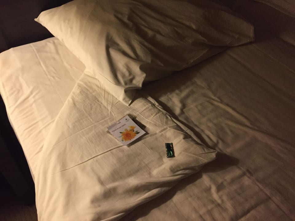 Betthupferl  Jaz Makadi Blue - TUI BLUE Makadi - Adults Friendly 16 Years Plus