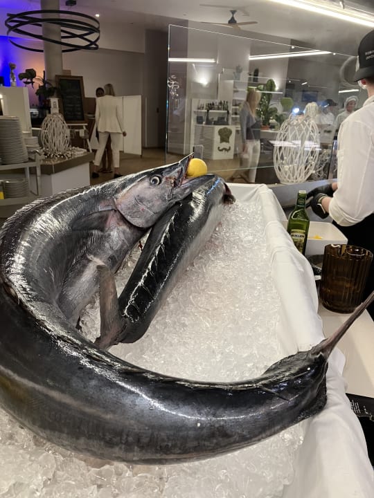 Gastro ROBINSON JANDIA PLAYA