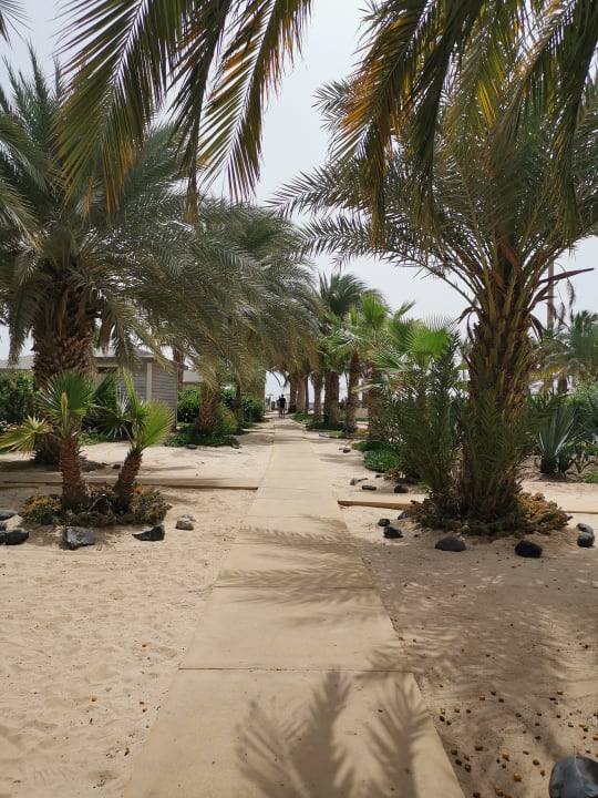 Gartenanlage Oasis Atlantico Belorizonte