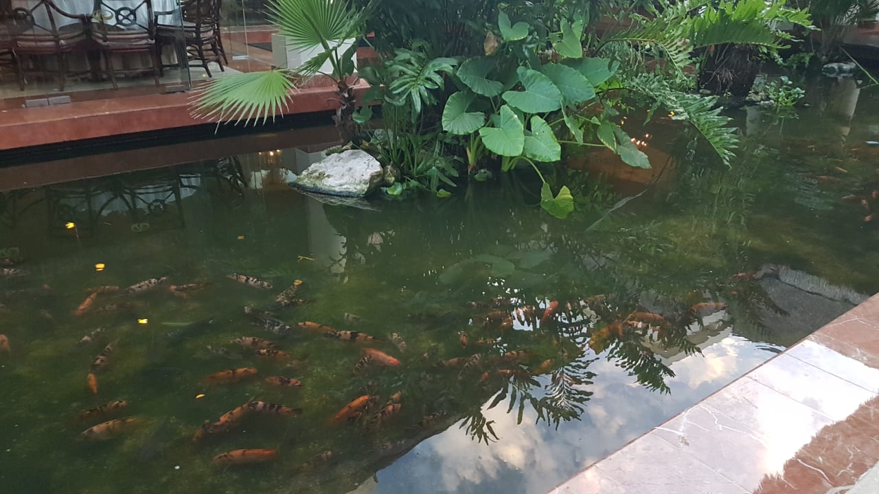 Sonstiges Grand Palladium Kantenah Resort & Spa